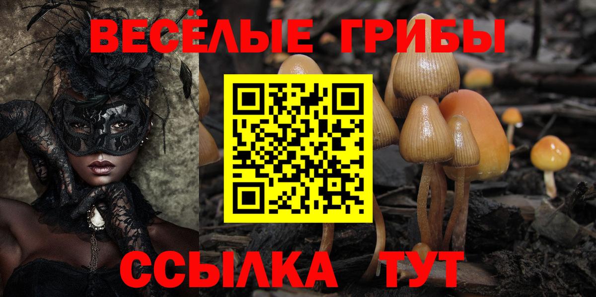 Псилоцибиновые грибы прущие грибы Кировск